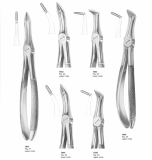Extracting Forceps English Pattern 